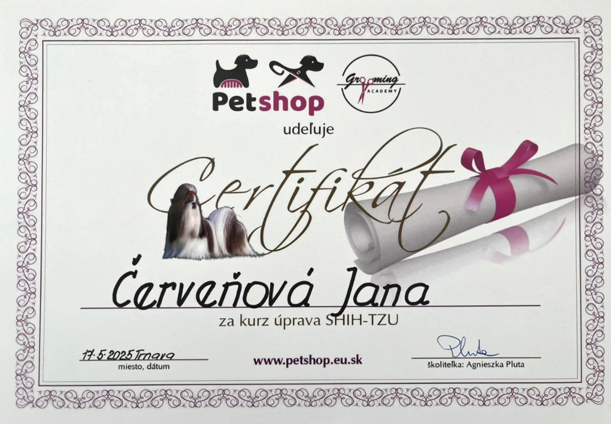 Certifikát - shih-tzu